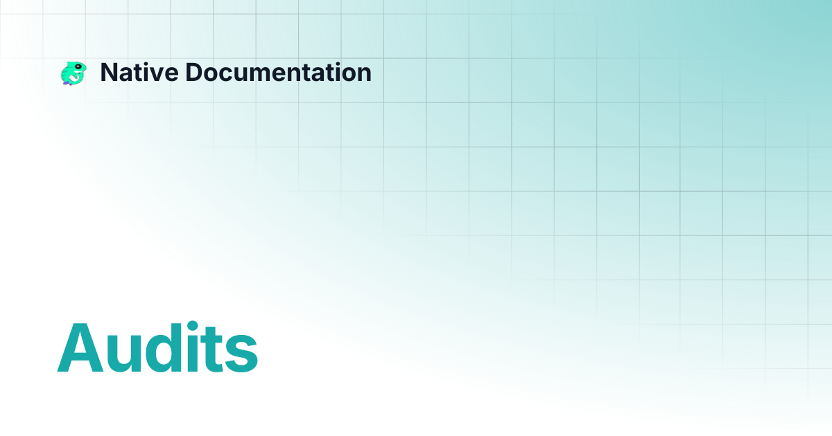 Audits | Native Documentation